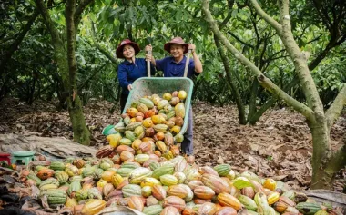 THỦY ĐIỆN TRỊ AN – VƯỜN CA CAO –  KDL SUỐI MƠ